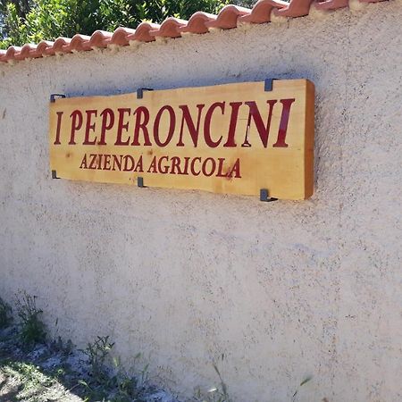 Azienda Agricola I Peperoncini Alghero Exteriör bild
