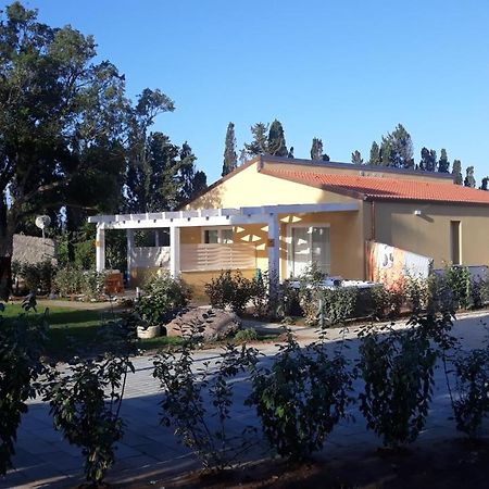 Azienda Agricola I Peperoncini Alghero Exteriör bild
