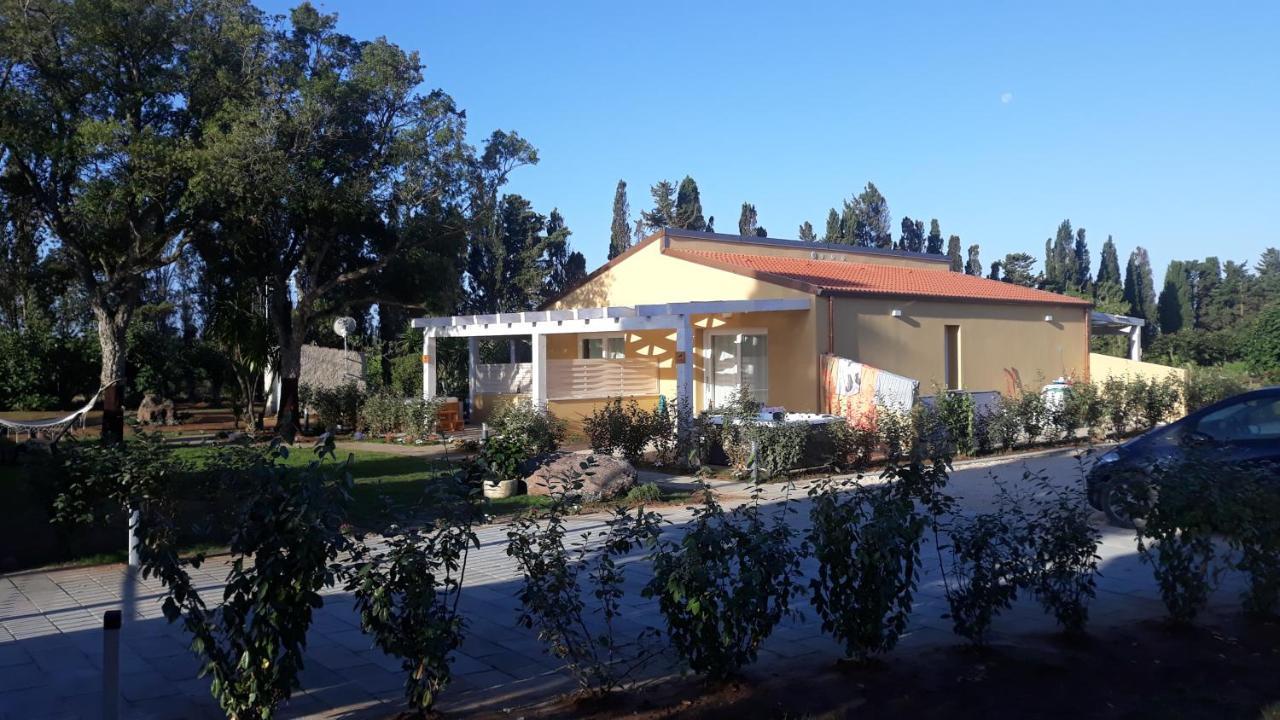 Azienda Agricola I Peperoncini Alghero Exteriör bild