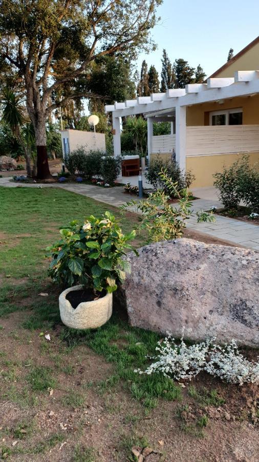 Azienda Agricola I Peperoncini Alghero Exteriör bild